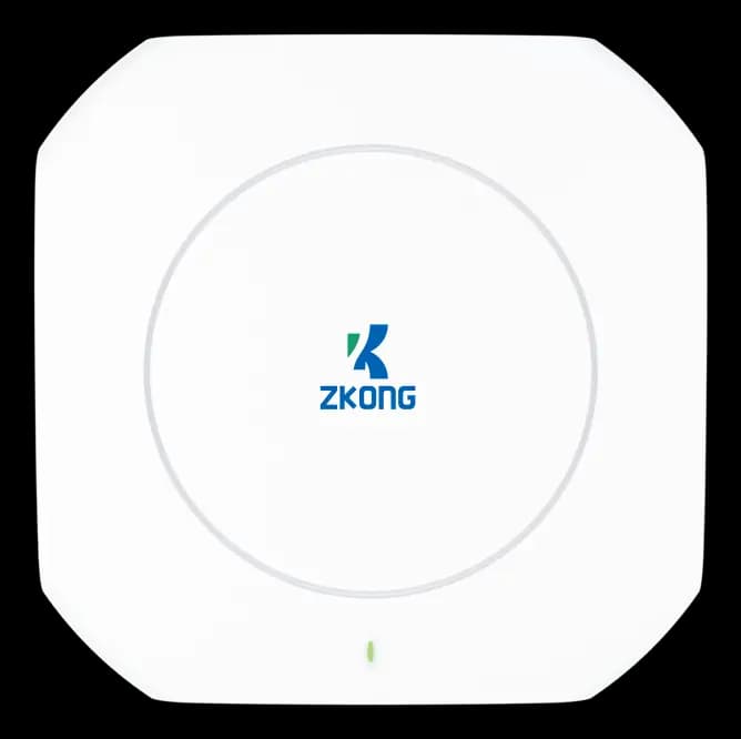 ZAP-DL